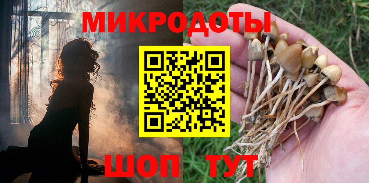 Галлюциногенные грибы Cubensis  Псилоцибиновые грибы Psilocybe  Богданович  Вход с VPN 
