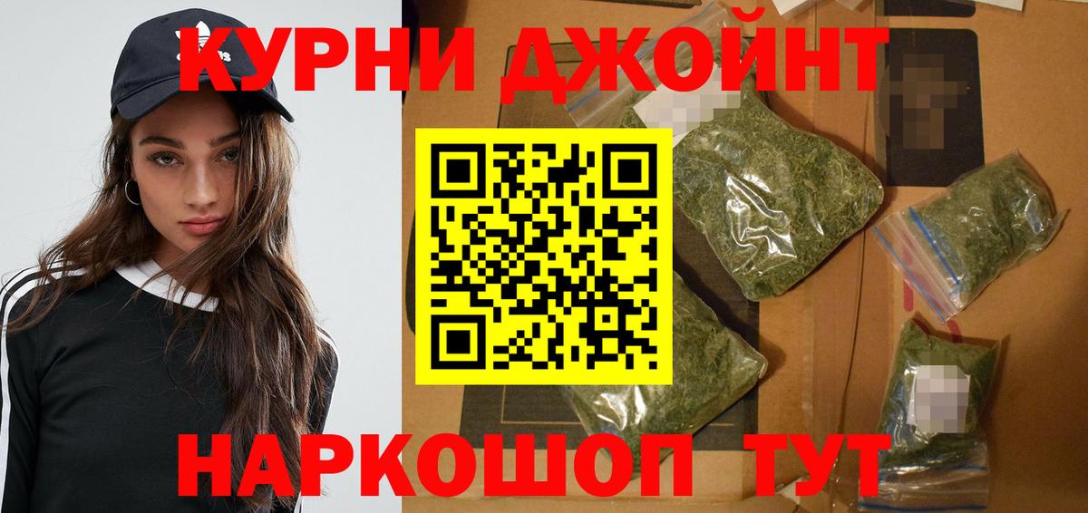 Конопля гибрид Богданович
